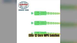 Giải pháp mạng 12 lõi G652D của Elite MPO Fiber Patch Cord