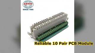 XL 011L 10 Pair LSA Plus PCB Module Assembly